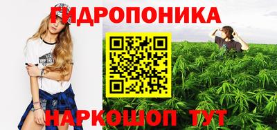 индика Ликино-Дулёво