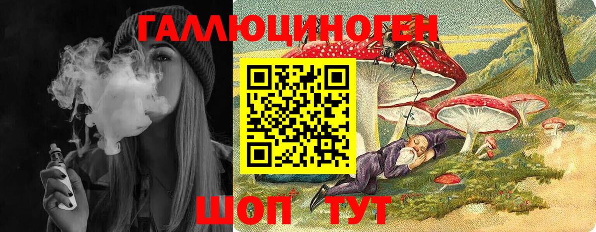 Домодедово  Галлюциногенные грибы Psilocybine cubensis  Вход с VPN 